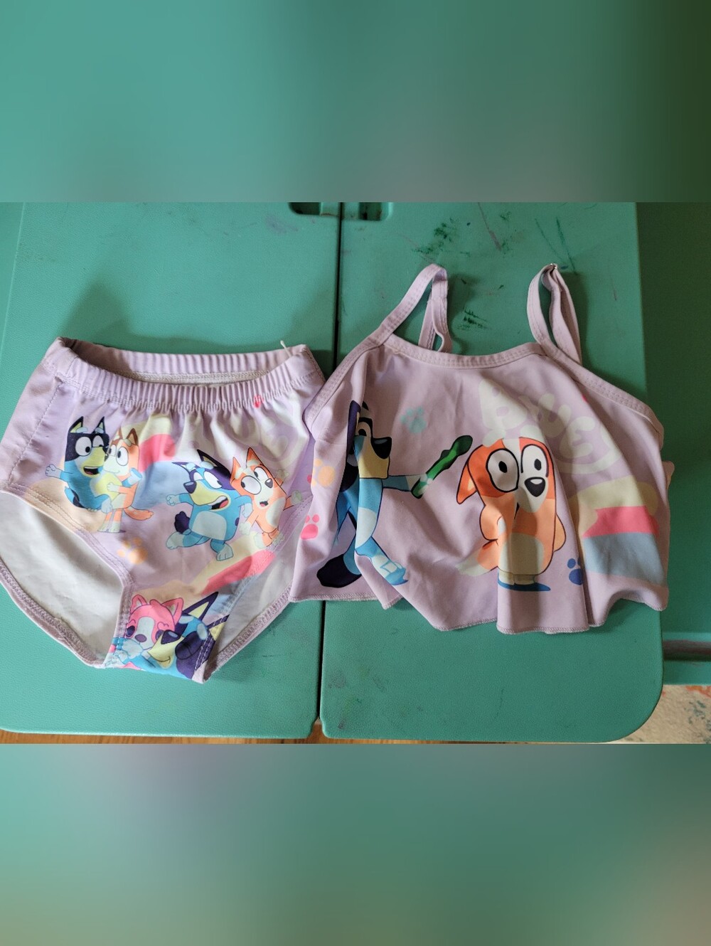 Bluey Bathing Suit, Size 5T